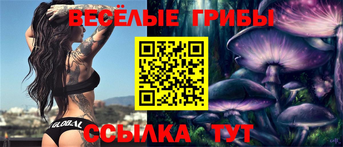 Псилоцибиновые грибы ЛСД Каменск-Шахтинский