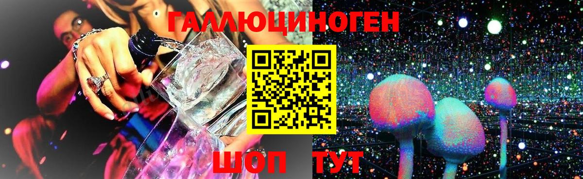 Каменск-Шахтинский  Псилоцибиновые грибы прущие грибы  Вход с VPN  Галлюциногенные грибы мицелий 